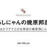 はるしにゃんの幾原邦彦論　Vol.3 ウテナと少女革命の真骨頂にゃん