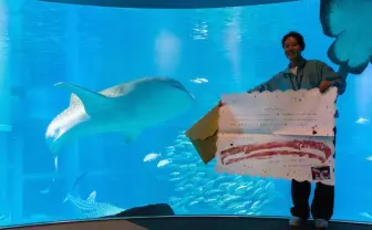 ジンベエザメのキスマーク付きラブレター？ 海遊館のプレゼント企画がやばい