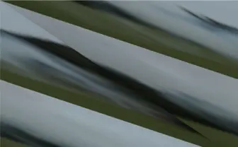 写真家・新津保建秀の特別講義「\風景−写真の亡霊」　芸術係数が開催