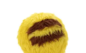 「拾った毛玉はピカチュウでした」洗って“戻る“ぬいぐるみと新たな物語の予感