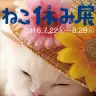 「ねこ休み展 夏 2016」キービジュアル