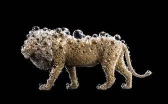 日本現代美術の特異性 精神科医が収集したミラーニューロンとは?