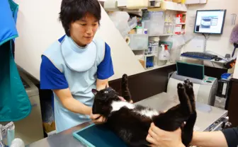 お宅の猫ちゃんは“メタボ猫”になってない？　“猫ドック”受診を体験してみた