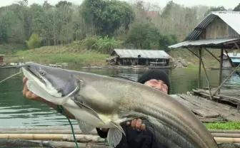 自然と冒険のメディア「Monsters Pro Shop」　怪魚や珍獣がたくさん！