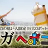 技術力の低い人限定ロボコン（通称：ヘボコン） ／画像はデイリーポータル Z：@niftyより