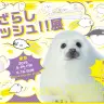 アザラシまみれの「あざらしラッシュ！！展」 東京と名古屋で開催　