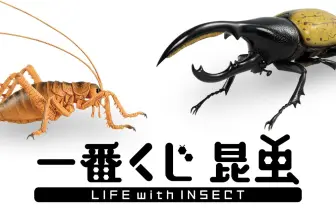 デカすぎ!世界の巨大昆虫が原寸フィギュアに 夏の虫取りは一番くじで
