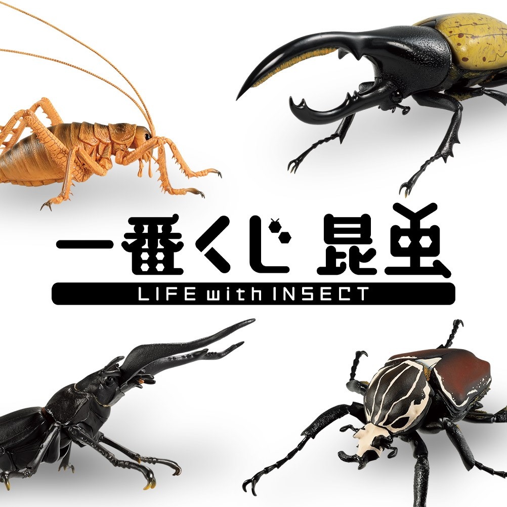 デカすぎ！世界の巨大昆虫が原寸フィギュアに 夏の虫取りは一番