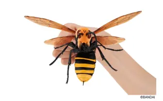 ガチャを回すと“スズメバチ” ！ 18箇所可動のリアルフィギュア開発