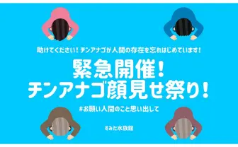 コロナ禍でチンアナゴが出てこない！ すみだ水族館が異色の“祭り”を緊急開催