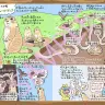 『ぬまがさワタリのゆかいないきもの超図鑑』