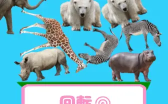 「どうぶつタワーバトル」カードゲーマーにぶっ刺さってる3つの理由