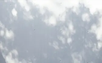 写真家・新津保建秀、作品展「アーカイブ / 余白 / 建築」開催