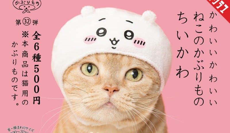 ちいかわ ガチャ 猫のかぶりもの 猫が 『ちいかわ』になれる…ってコト!? 帽子のカプセルトイが