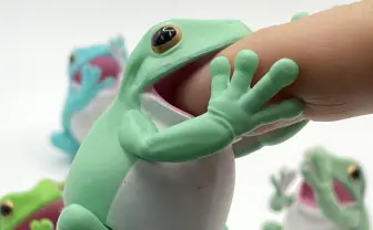 パクっと！ ぎゅっと！ イエアメガエルがかわいいフィギュアに