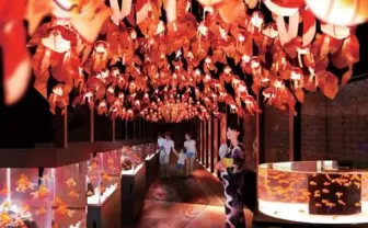 日本最大の金魚展「お江戸の金魚ワンダーランド」すみだ水族館で夏祭り