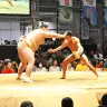 なかやまきんに君 VS 照ノ富士関！