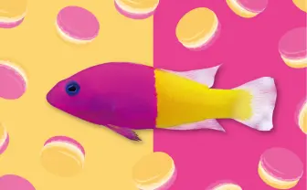 サンシャイン水族館の“映え”な特別展　フォトジェニックな生物が大集結