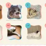 画像はすべて「ねこの〇〇展」Webサイトより
