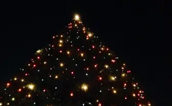 これが学び舎!?　立教大のクリスマスイルミネーションが本気