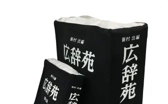カバンからスッと『広辞苑』 ヴィレヴァンの岩波書店リスペクトポーチが粋だね