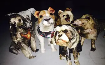 スマホの写真から原寸大の犬をつくりだす　時吉あきな個展