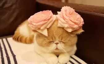 「ねこ休み美術館」 SNSで人気の猫が世界の名画やアート作品とコラボ