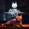 「STRAY | Release Date Trailer」／画像は本動画から