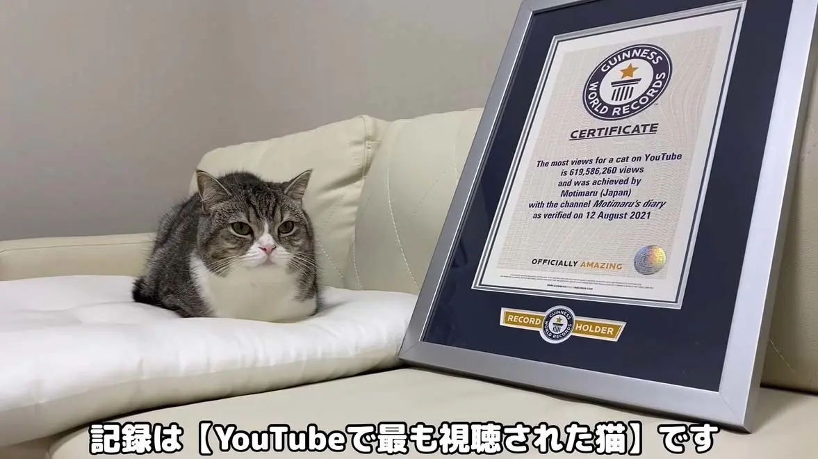 画像は動画「【祝】もち様がギネス世界記録™に認定されました。」のキャプチャ―