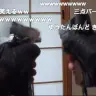 「千本桜をエアガンで演奏してみた」のキャプチャ