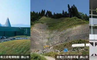 国際的快挙！ 福井県産出の鳥類の卵化石が世界最古と判明