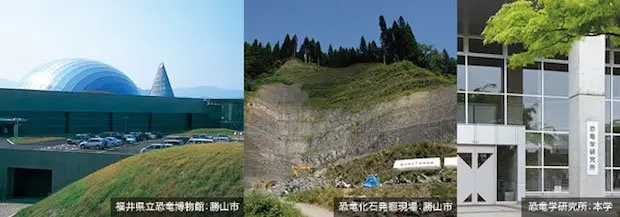 国際的快挙！ 福井県産出の鳥類の卵化石が世界最古と判明