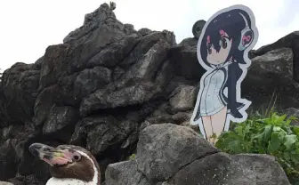 『けものフレンズ』に恋するペンギン死ぬ　フルル声優 築田行子も悼む