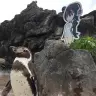 グレープ君とフルル／画像は東武動物公園【公式】リュウくんより