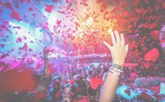 イビサ島の老舗クラブ「PACHA」がフェスになって日本へ　パリピ大歓喜