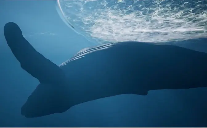 海の生命を体感するゲーム『Whale Fall』 藝大院生が手がける大海原の旅