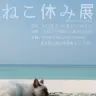 「ねこ休み展」