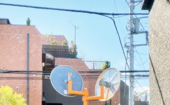 【写真】セクシー女優 大槻ひびき×波多野結衣　ともだち歴10周年、感謝語る