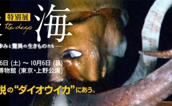 ダイオウイカ三昧の深海展開催が決定! 5mの標本やフィギュア付前売り券も