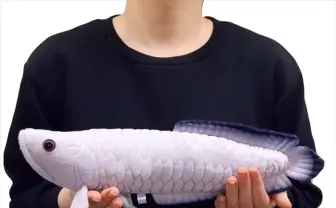 淡水エイ、アロワナなど11種がぬいぐるみ化　ヴィレヴァン人気シリーズ