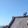 画像は全て動画のキャプチャ