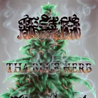 舐達麻 2ndアルバム『GODBREATH BUDDHACESS』リリースLIVE