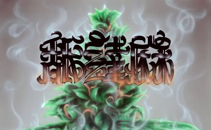 舐達麻、2ndアルバムリリースライブ　客演にOZROSAURUS＆THA BLUE HERB