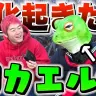 蛙化現象をコメディタッチで紹介するレイクレの動画