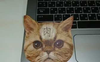 「猫のひたい 付箋メモ」インパクト大だけど書けるスペース小さっ！