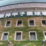 戦いの舞台となっている阪神甲子園球場