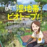 書籍『自宅で湿地帯ビオトープ！ 生物多様性を守る水辺づくり』の書影