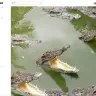 以下、画像はワニマガジン公式サイトのスクリーンショット