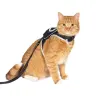 Stray X Travel Cat Harness & Leash Set Limited-Edition／画像はすべてTravel Cat販売サイトより