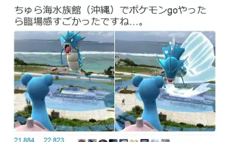 「臨場感すごかったですね」 沖縄美ら海水族館でのポケモンGOプレイ画面が『Twitter』で話題に